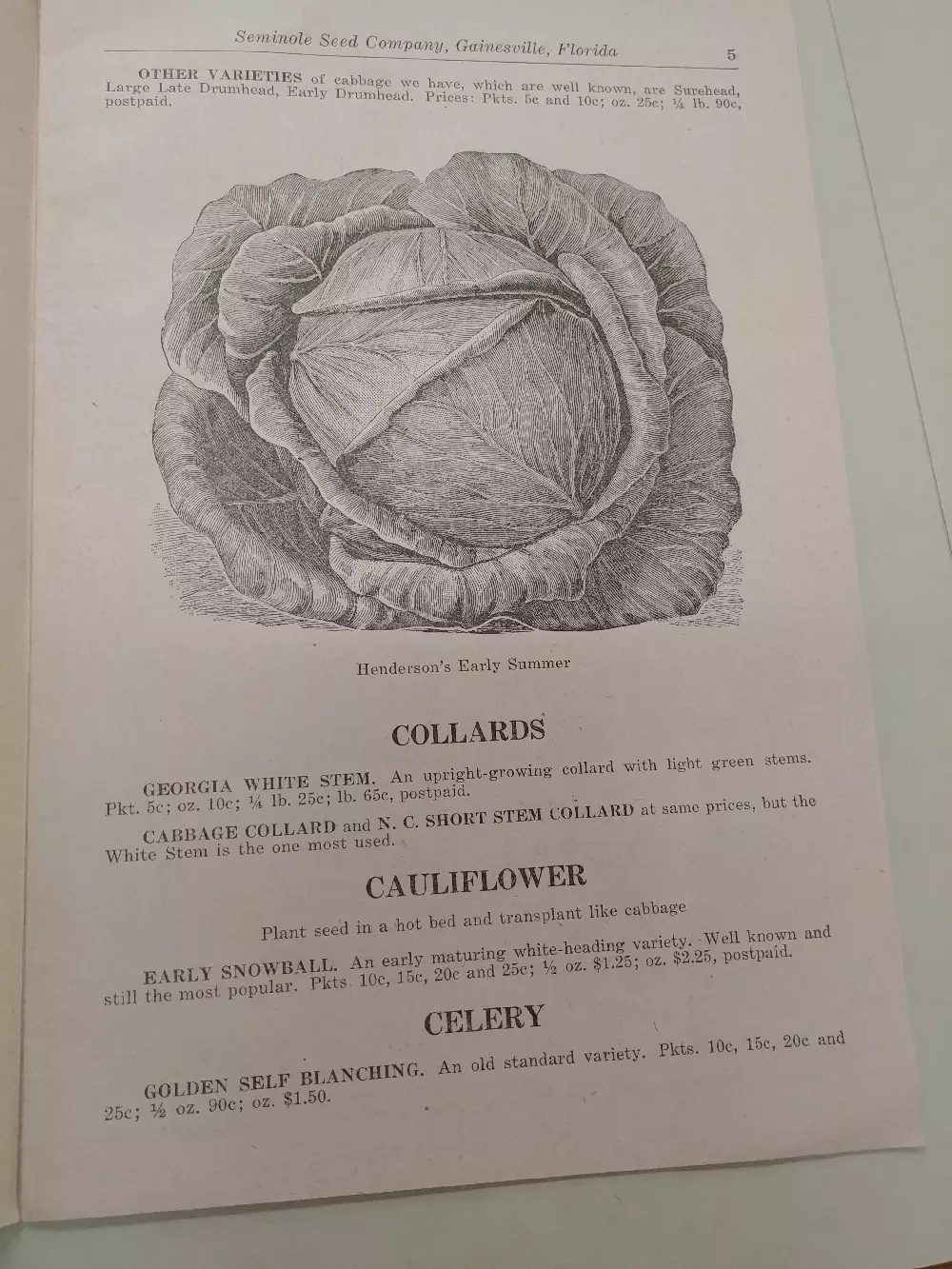 A book page with a black and white illustration of a cabbage and some small text