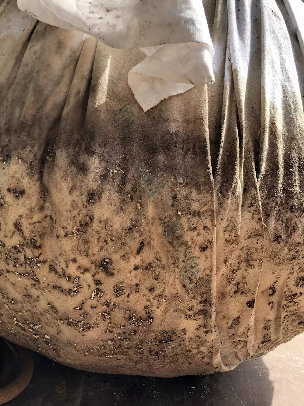 Ball of soil in a sheet, the soil is slightly leaking out of the sheet