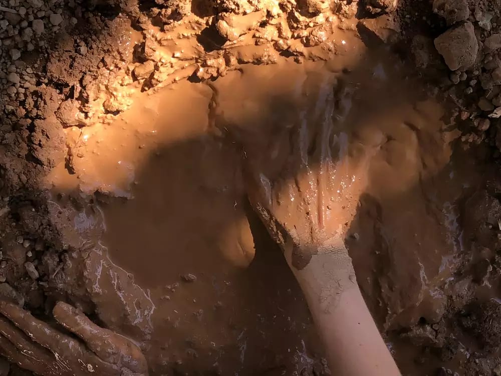 Artist's hand in a water-y patch of soil on the ground