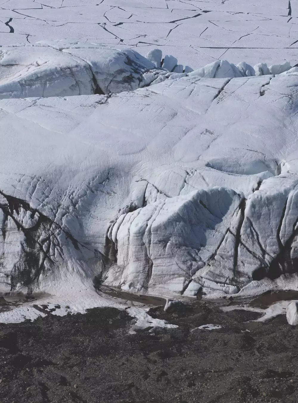A glacier meeting the sea