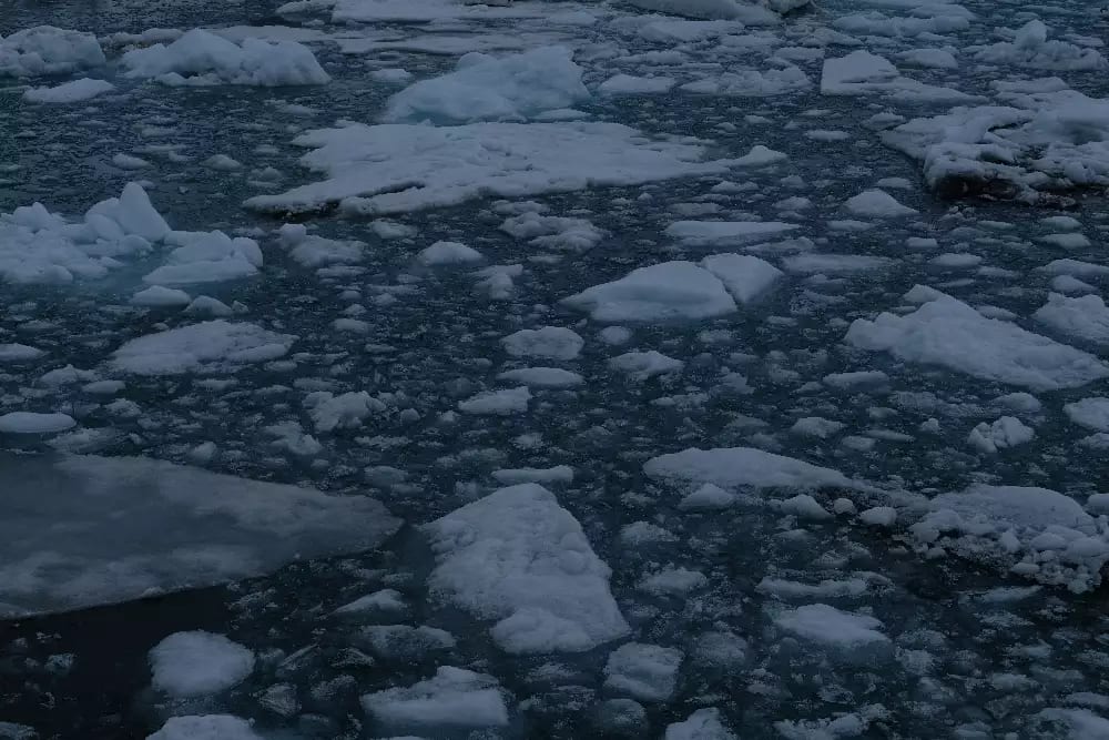 Ice floating in the sea