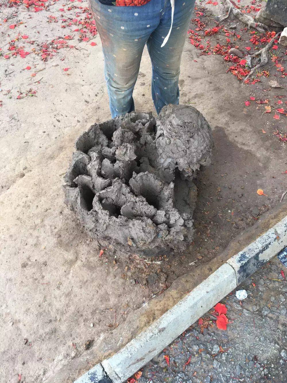 Research trip Ushafa Pottery, Abuja, Nigeria, May 2021, (c) Jareh Das A clay form on the ground with a person standing next to it