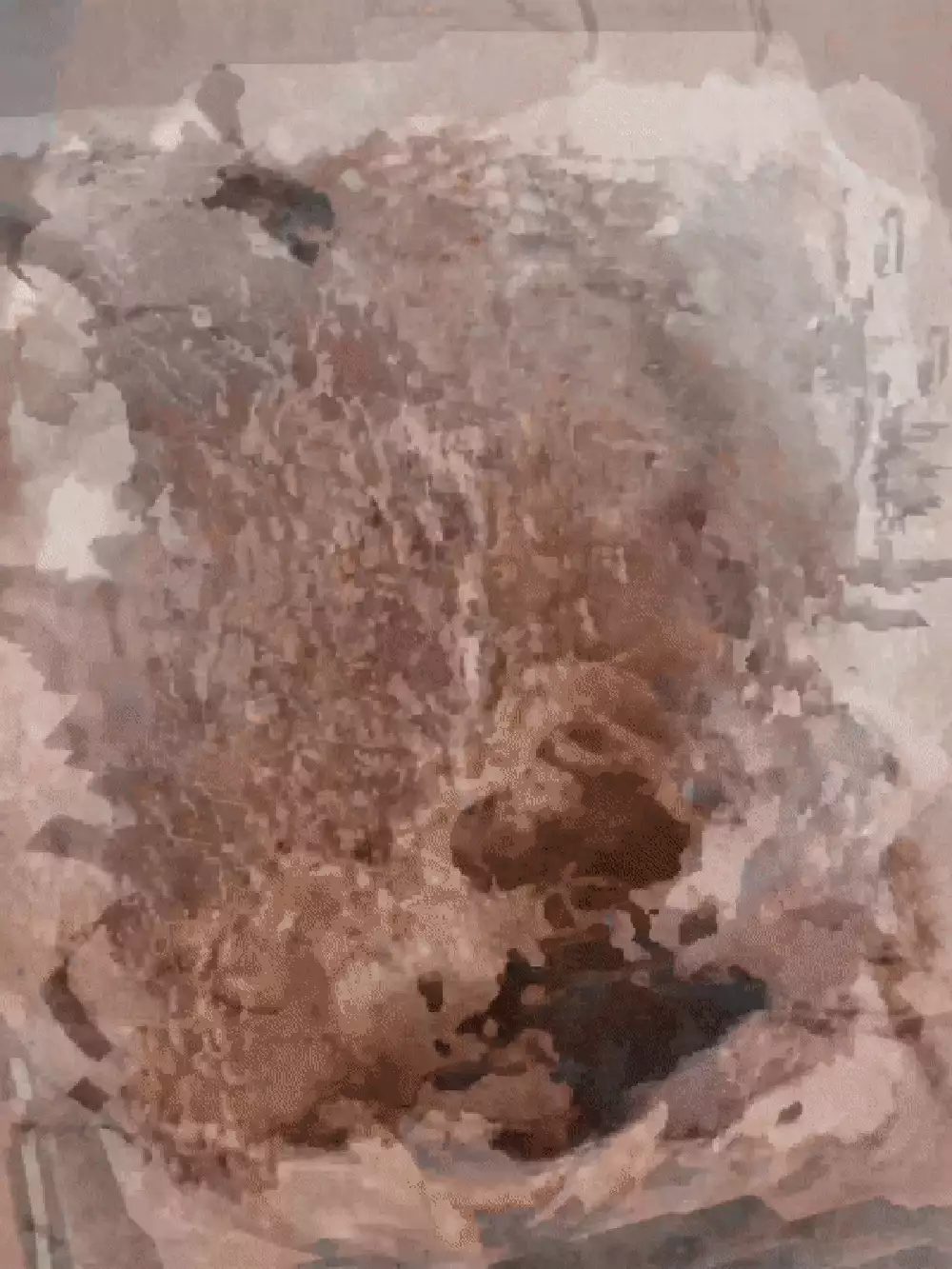 A blurred, pixellated image which shows multiple abstract forms blurring into one another