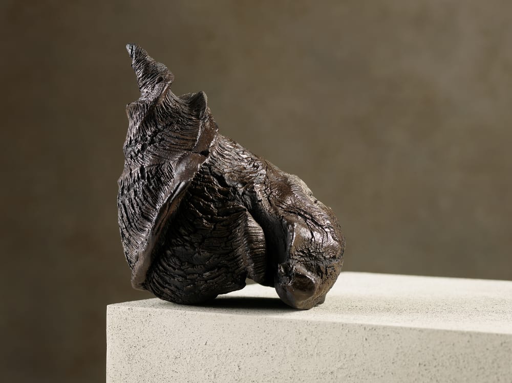 Zivarna Murphy Shell Form II Credit to Shannon Tofts 3MB.jpg