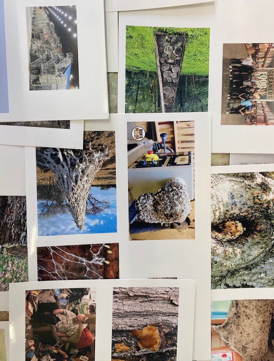 A selection of printed, found images in Maddie's studio, many of which are now in the archive