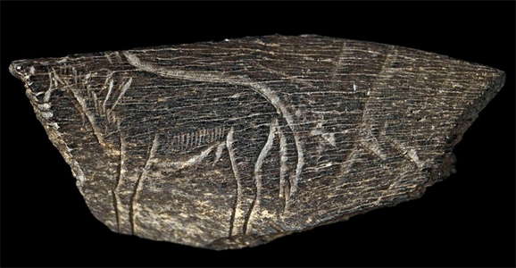 Small fragment engraved with the figure of a horse. Paleolithic; Montastruc, France. ©The Trustees of the British Museum via https:/donsmaps.com Small fragment engraved with the figure of a horse. Paleolithic; Montastruc, France. ©The Trustees of the British Museum via https://donsmaps.com/